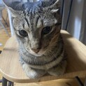 一歳の男の子