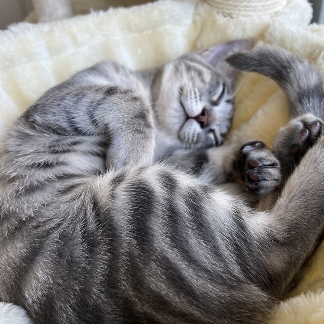 かず&さとのカバー写真