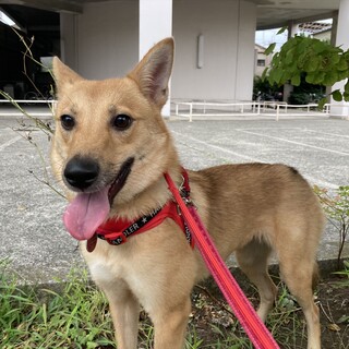 「みやこ」女の子