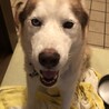 べなっく