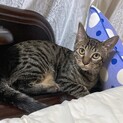MIX 7ヶ月おとこのこ