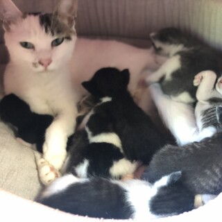 姉妹で子育て中、8/24生まれ