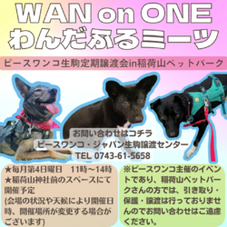 WAN on ONE わんだふるミーツ