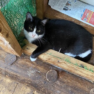 台風の日に頑張って生き抜いた子
