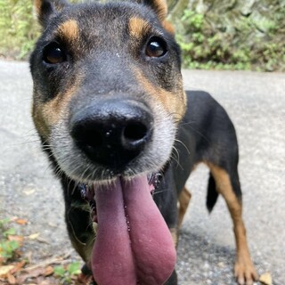 美アリゾナちゃん