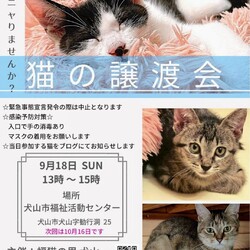猫の譲渡会@犬山市福祉活動センター