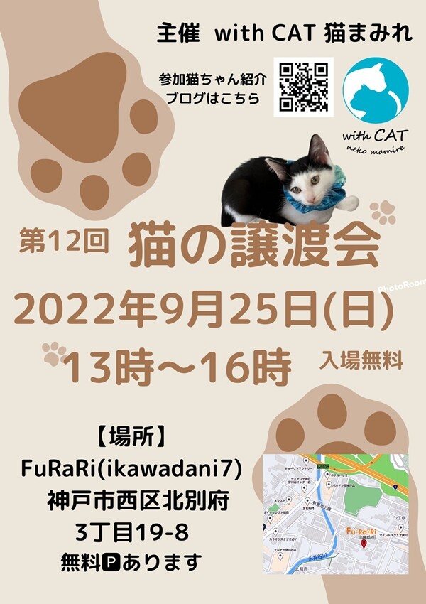 神戸 譲渡会 猫まみれ With Cat 猫まみれのイベント ペットのおうち 月間利用者150万人
