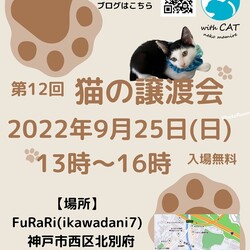 神戸 譲渡会 猫まみれ With Cat 猫まみれのイベント ペットのおうち 月間利用者150万人