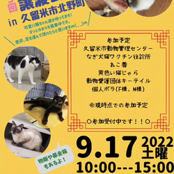 保護猫譲渡会in久留米