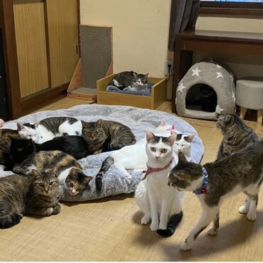 の写真