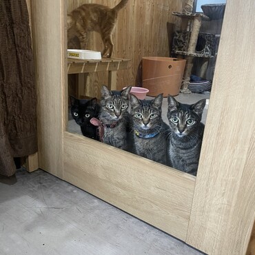 の写真