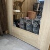 の写真