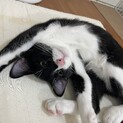 再掲載です２