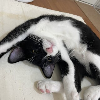 再掲載です２