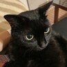 の写真
