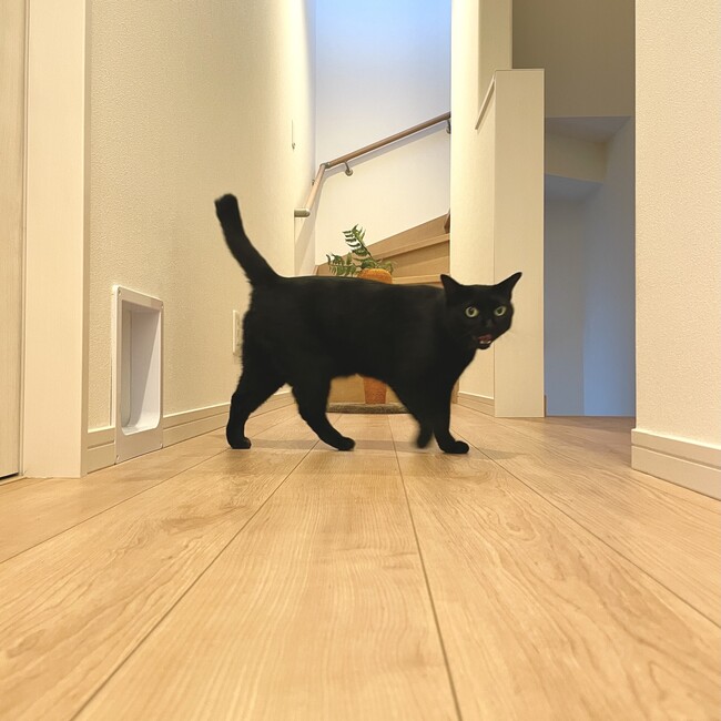 Stone3104のカバー写真