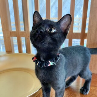いつもルンルン♡天真爛漫な男の子
