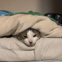 ザック朗