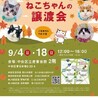【9/18東日本橋】すりすり猛アピール♥️こてまえ サムネイル7