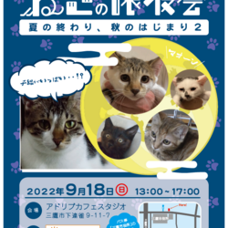 三鷹で猫の譲渡会