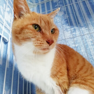 ハワイ語で「家族」という意味の「OHANA」