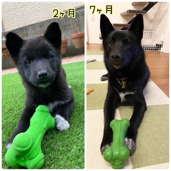 マル友。のカバー写真