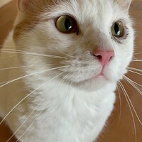 みーちゃん