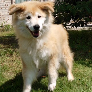 無邪気なベルちゃん