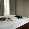 SUNDAYʕ•̫͡•ʕ•̫͡•ʔ