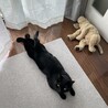 のび