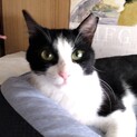 家族ができました。リオンくん♡