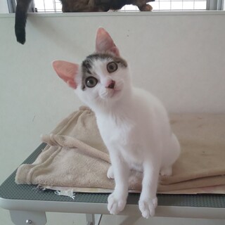 まん丸お目目の女の子