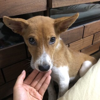 可愛いルナちゃん★フレンドリー