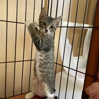くつ下はいてます♫