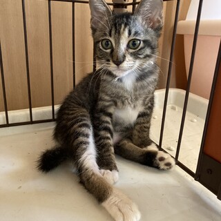 くつ下はいてます♫②