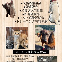 9/25犬猫プチフェステバル
