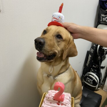 2歳の誕生日