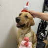 2歳の誕生日