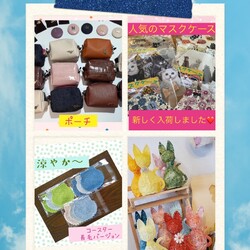 ねこ組福岡中央譲渡会in藤崎 サムネイル3