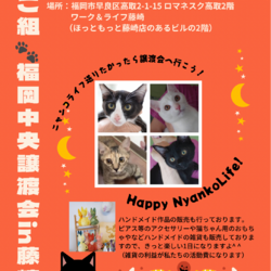 ねこ組福岡中央譲渡会in藤崎