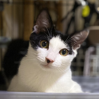 甘えん坊だけどビビリん坊の男の子