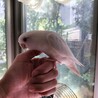 の写真