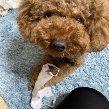 いたずら中です。