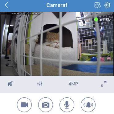 の写真