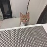 の写真