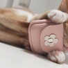 の写真
