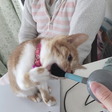 の写真