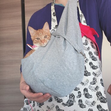 の写真
