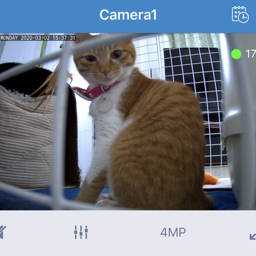 の写真