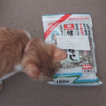 の写真